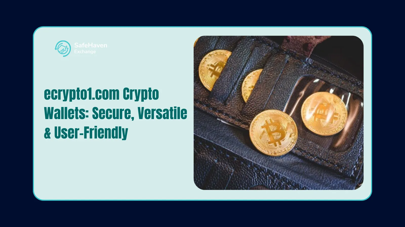 ecrypto1.com Crypto Wallets